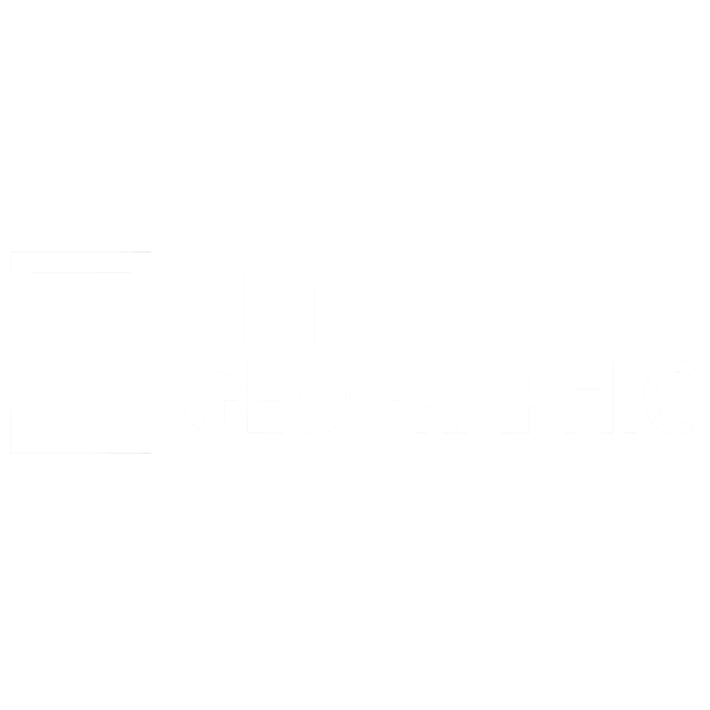 National Geographic logo